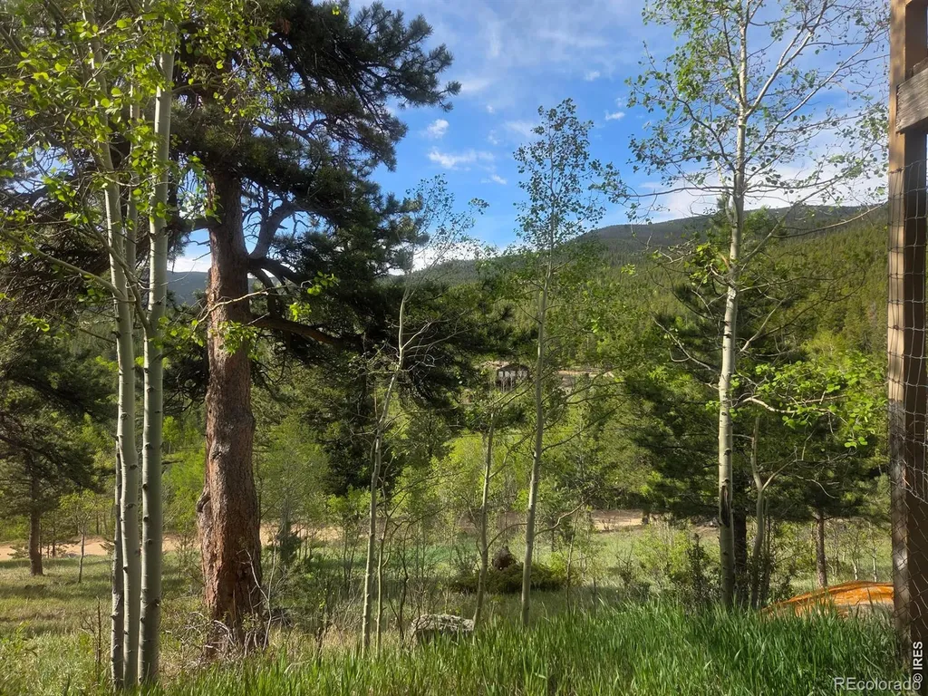 328 N Skinner Road Allenspark CO 80510