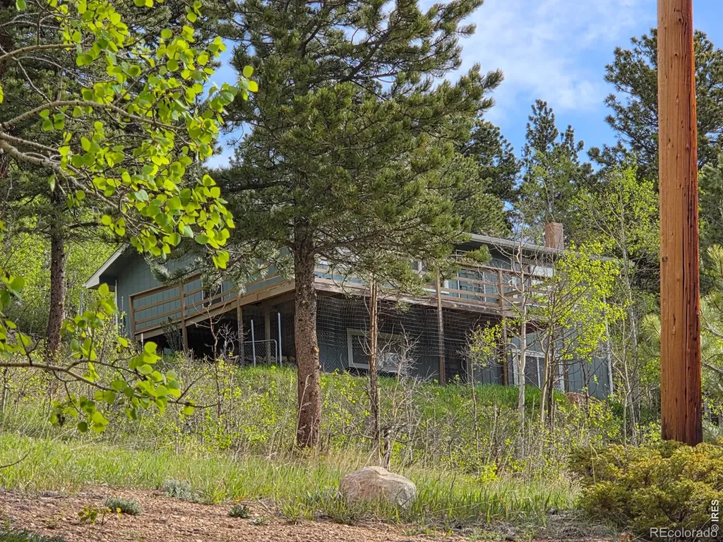 328 N Skinner Road Allenspark CO 80510