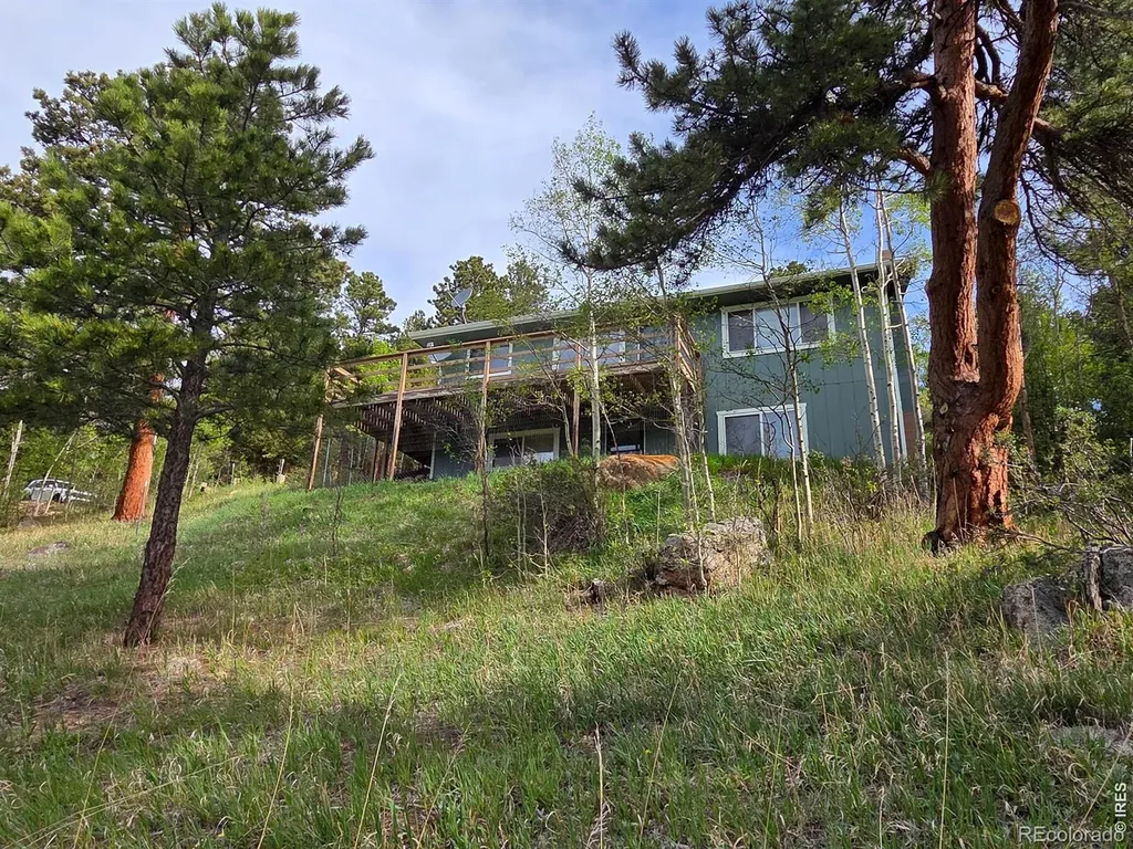 328 N Skinner Road Allenspark CO 80510