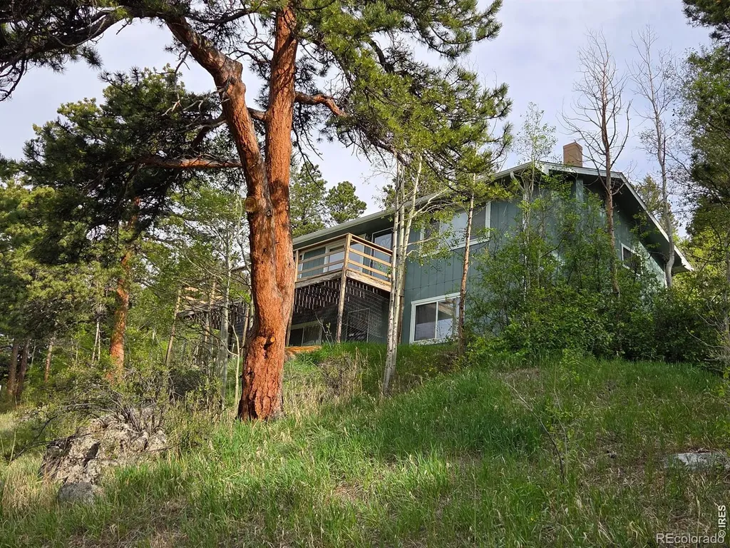328 N Skinner Road Allenspark CO 80510