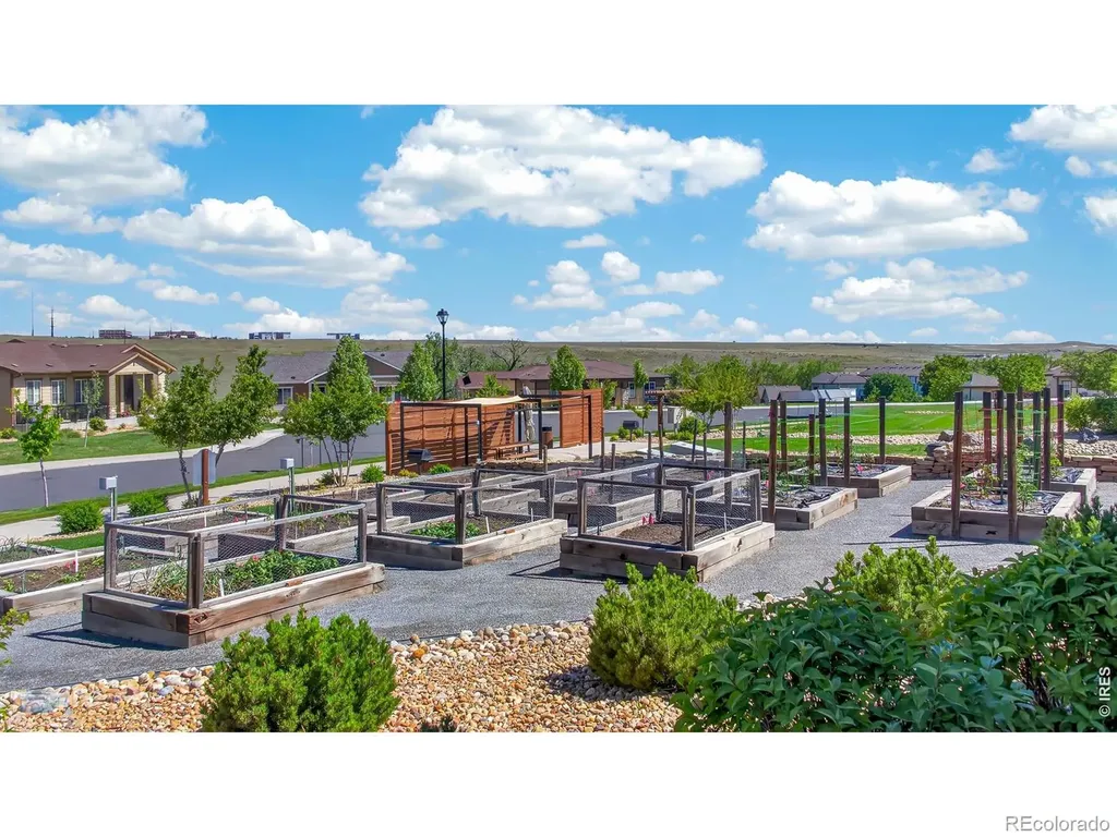 12556 W Montane Drive Broomfield CO 80021