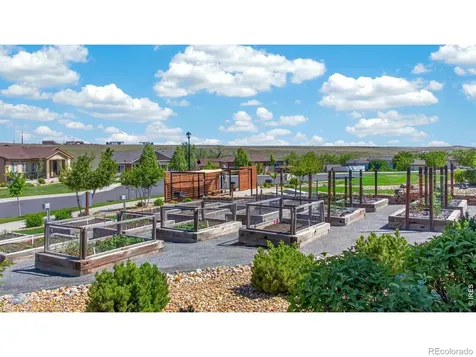 12556 W Montane Drive Broomfield CO 80021