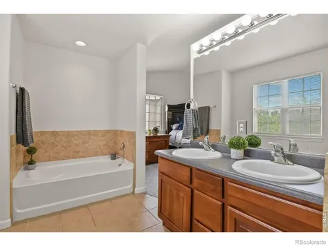 3449 Morning Song Court Castle Rock CO 80109