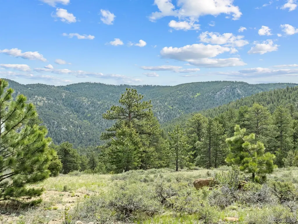 1825 Soul Shine Road Drake CO 80515