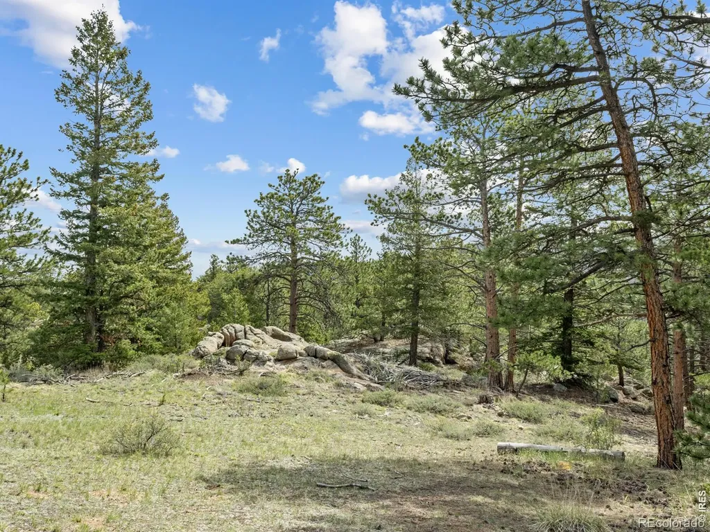 1825 Soul Shine Road Drake CO 80515