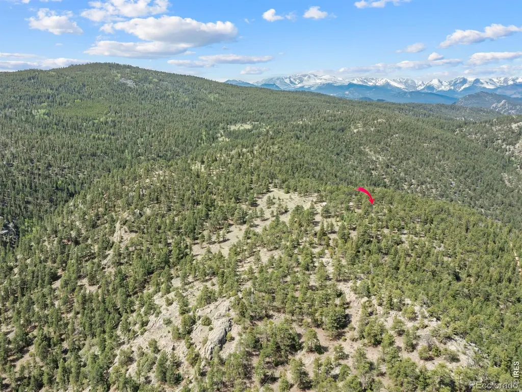 1825 Soul Shine Road Drake CO 80515