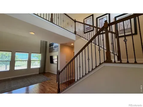 4613 Pompano Drive Windsor CO 80550