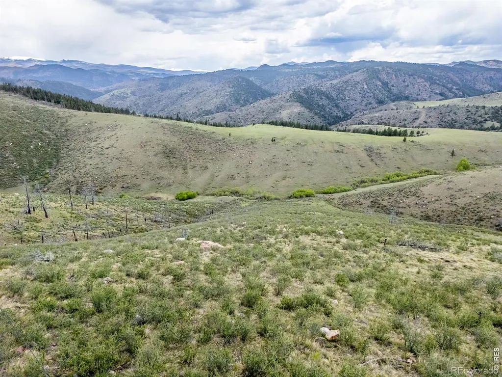 208 Little Bald Mountain Court Livermore CO 80536