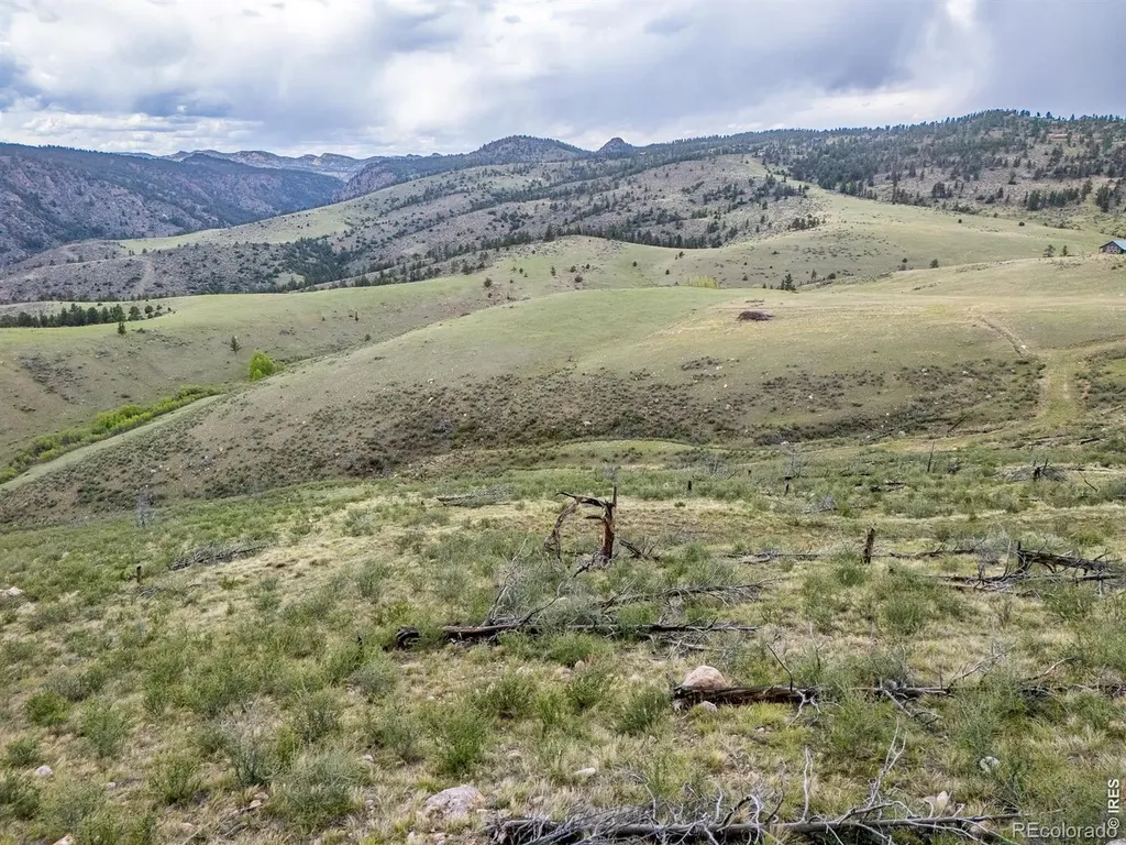 208 Little Bald Mountain Court Livermore CO 80536