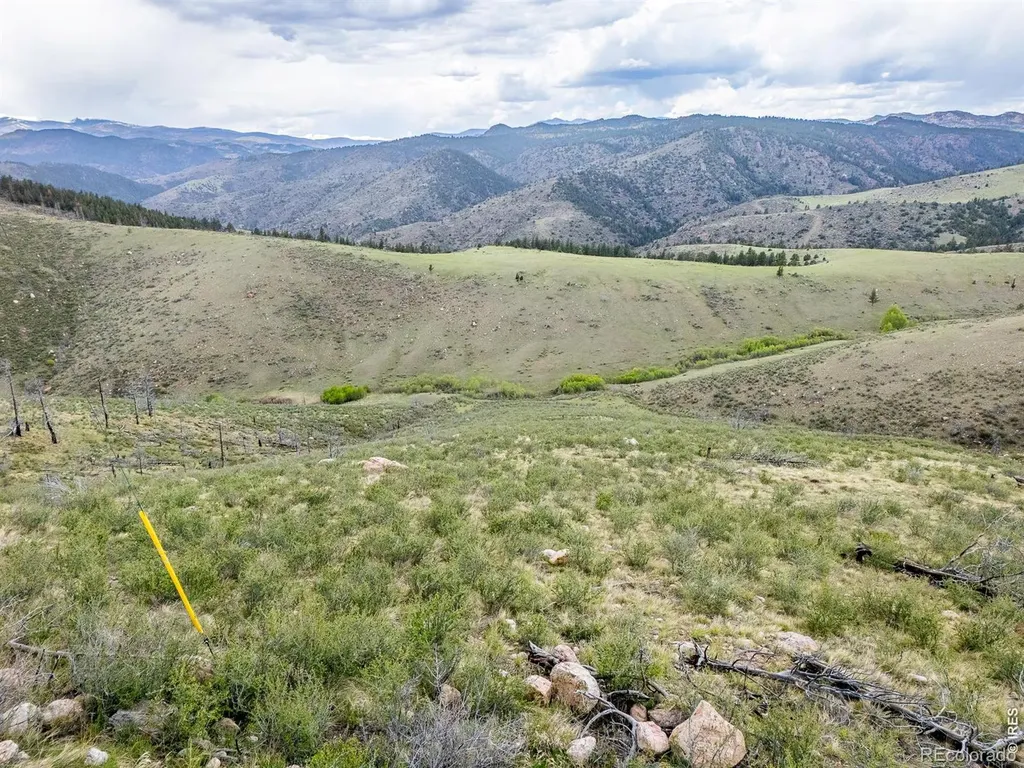 208 Little Bald Mountain Court Livermore CO 80536