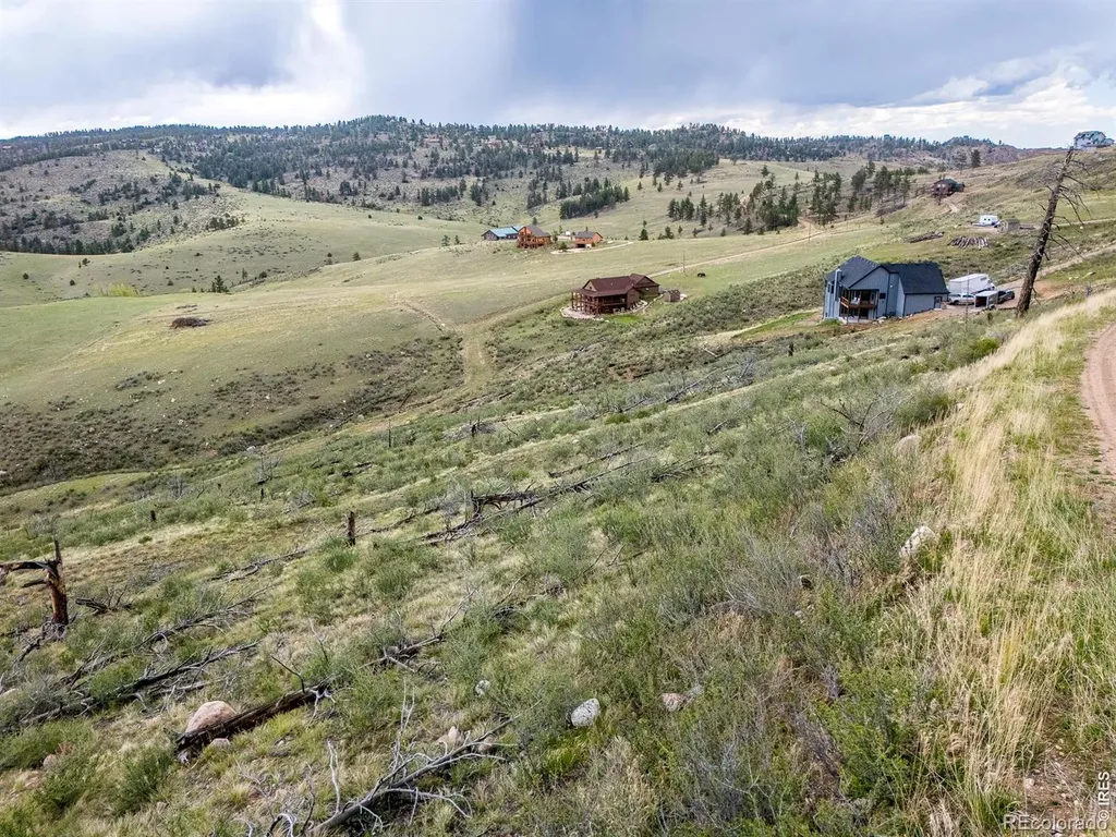 208 Little Bald Mountain Court Livermore CO 80536