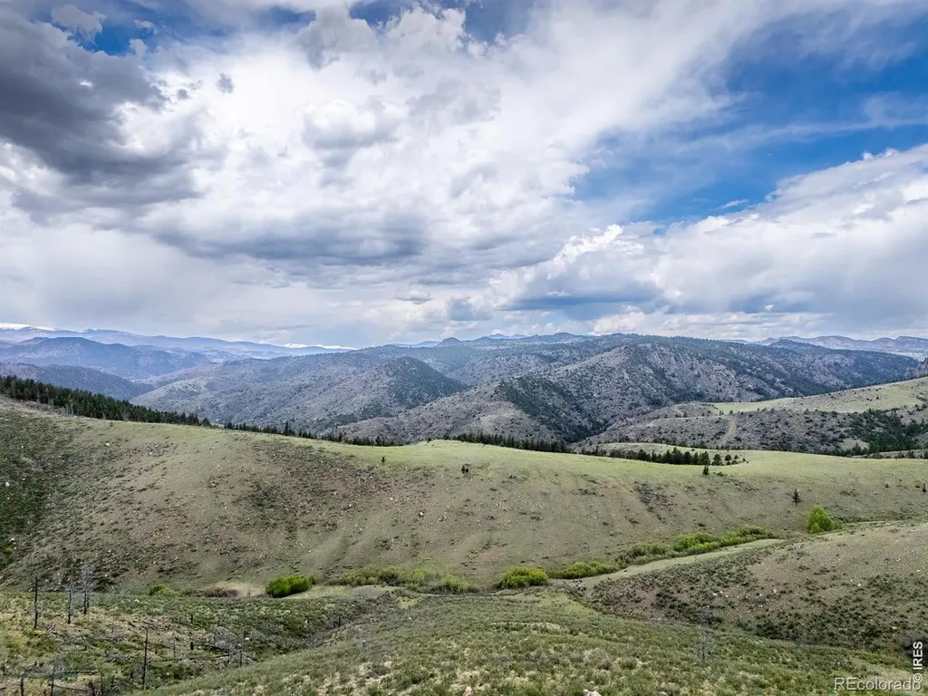 208 Little Bald Mountain Court Livermore CO 80536