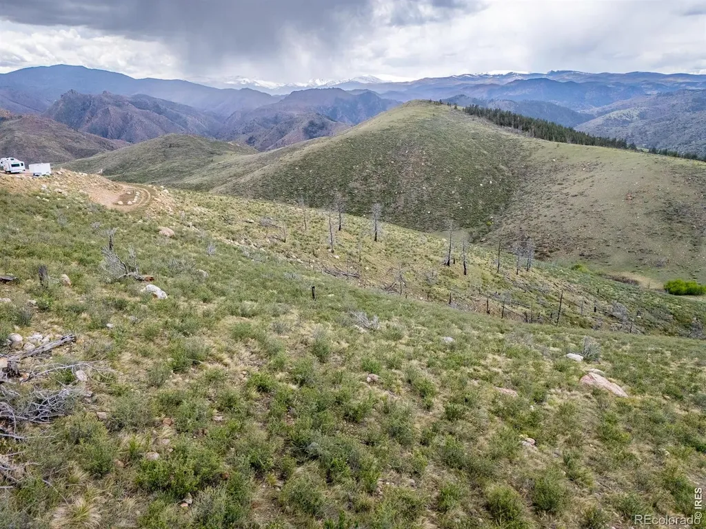 208 Little Bald Mountain Court Livermore CO 80536