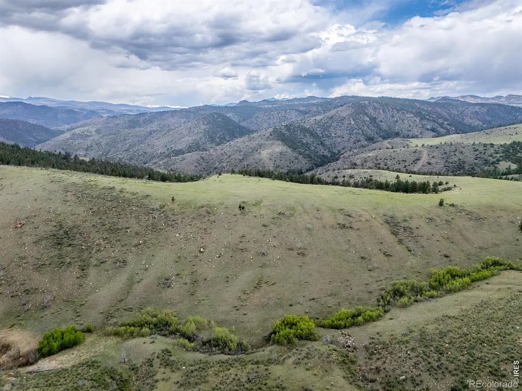 208 Little Bald Mountain Court Livermore CO 80536