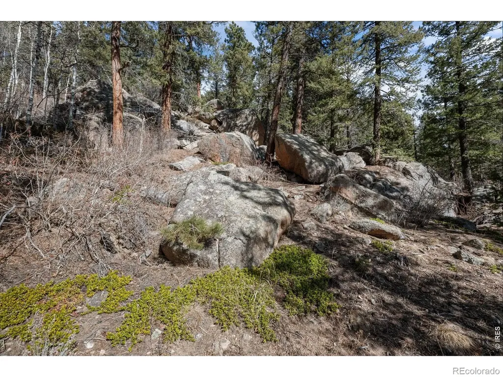 31468 Kings Valley W Conifer CO 80433