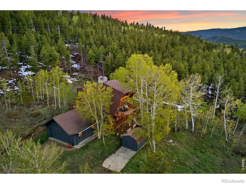 56 Valley View Drive Nederland CO 80466