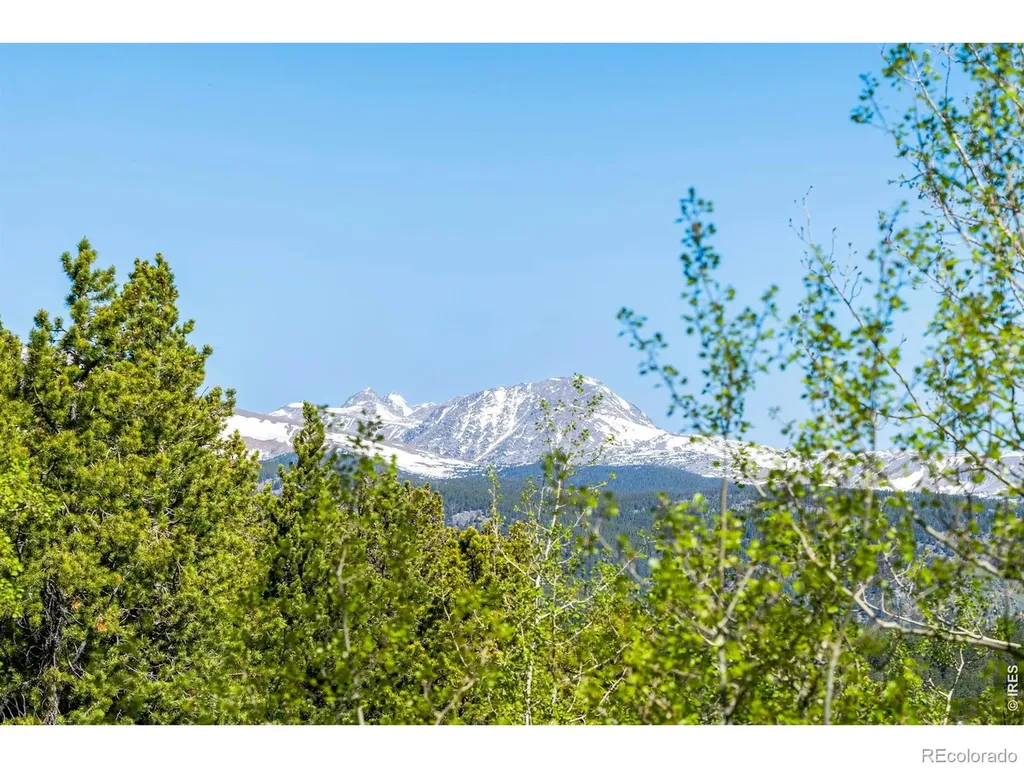 56 Valley View Drive Nederland CO 80466