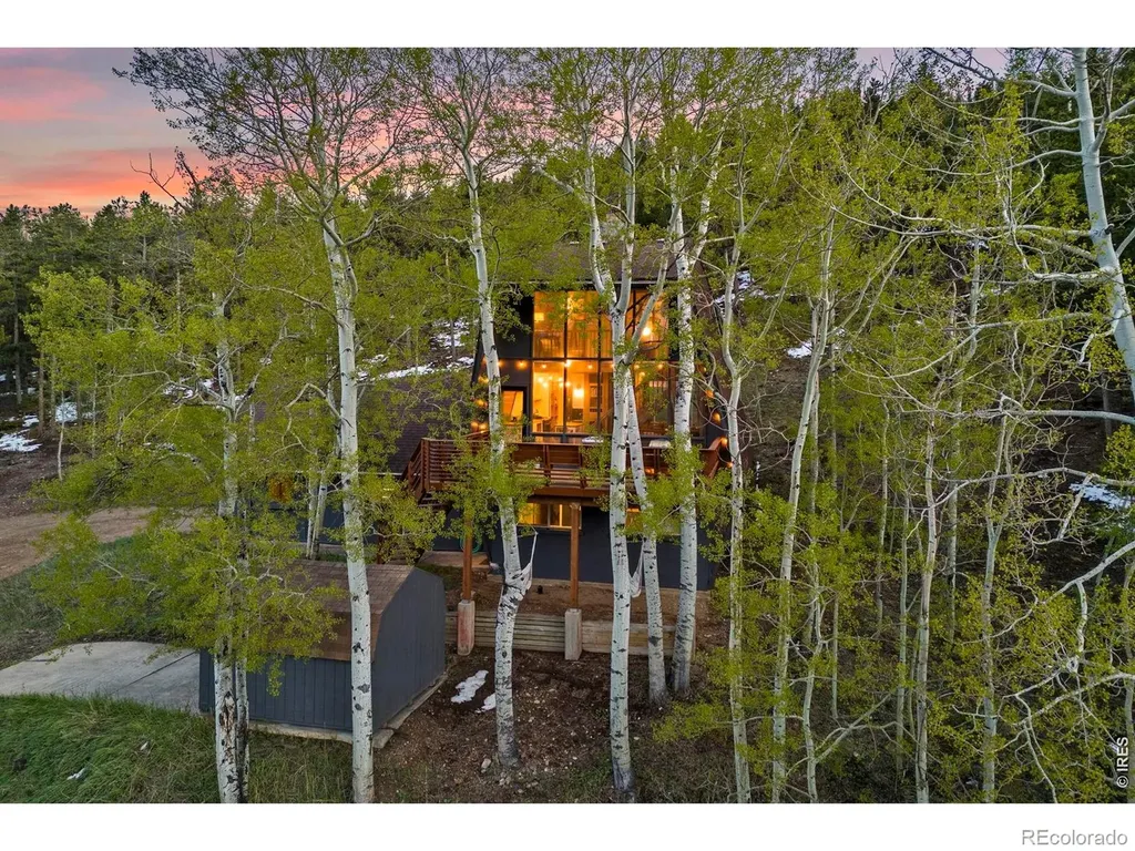56 Valley View Drive Nederland CO 80466