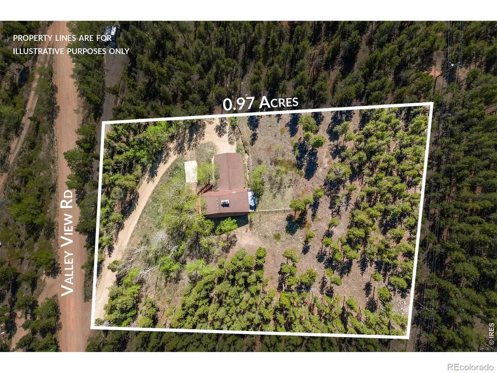 56 Valley View Drive Nederland CO 80466