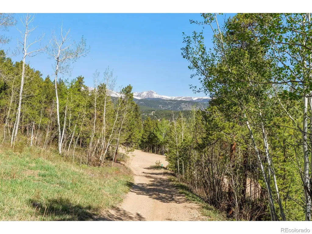 56 Valley View Drive Nederland CO 80466