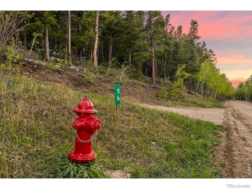 56 Valley View Drive Nederland CO 80466