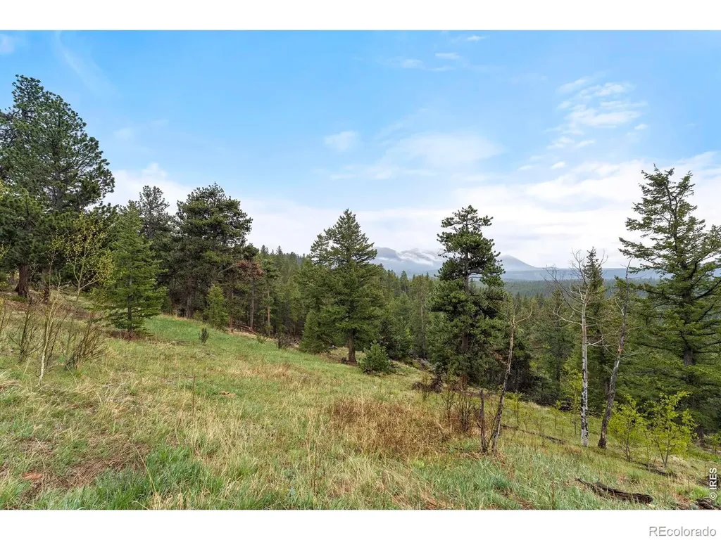515 N Beaver Road Nederland CO 80466