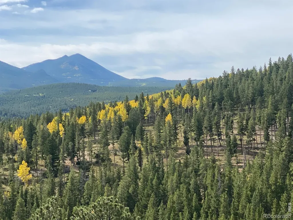515 N Beaver Road Nederland CO 80466