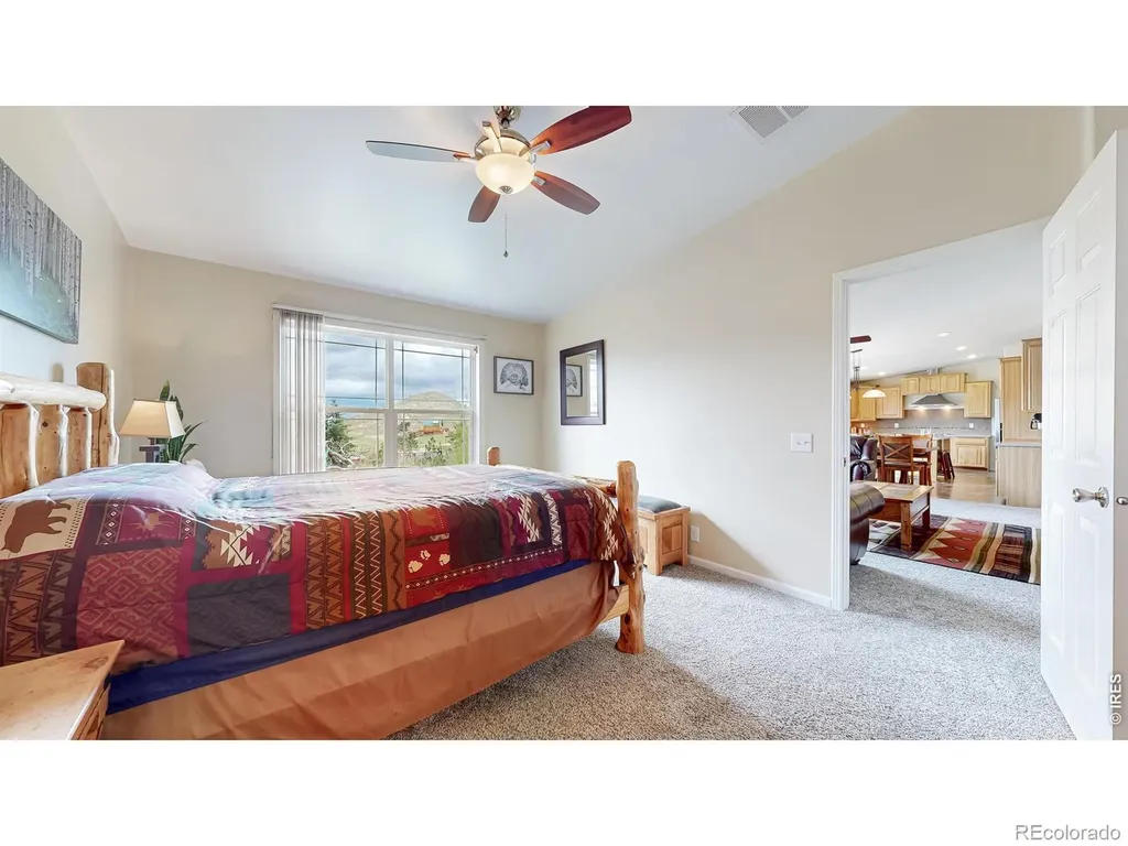 572 Horse Mountain Drive Livermore CO 80536