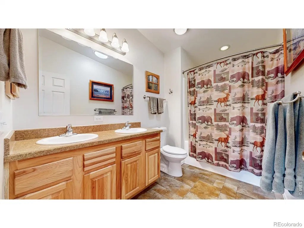 572 Horse Mountain Drive Livermore CO 80536