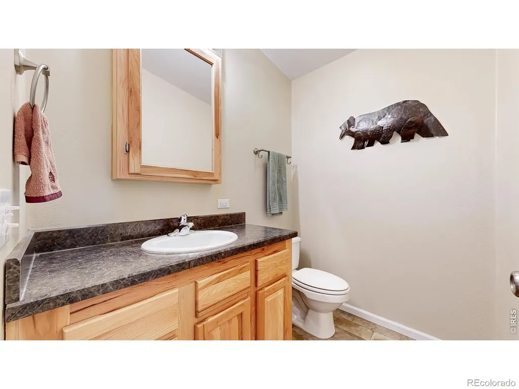 572 Horse Mountain Drive Livermore CO 80536