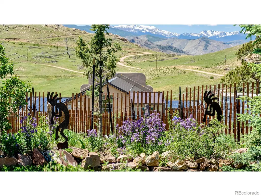 572 Horse Mountain Drive Livermore CO 80536