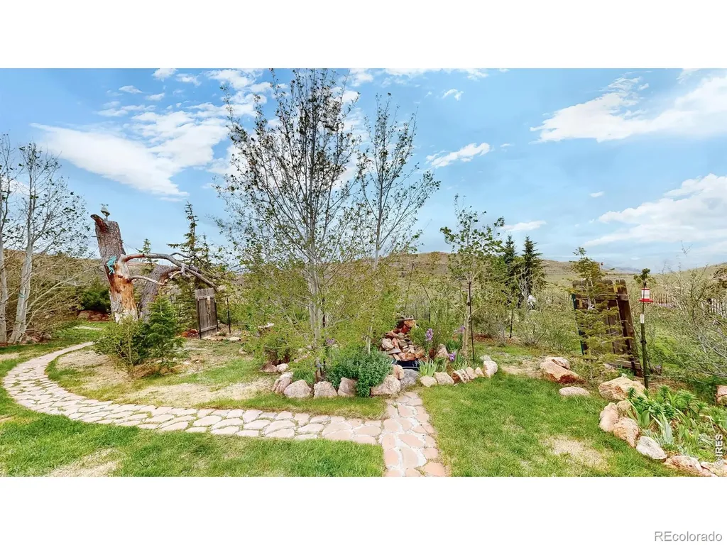 572 Horse Mountain Drive Livermore CO 80536