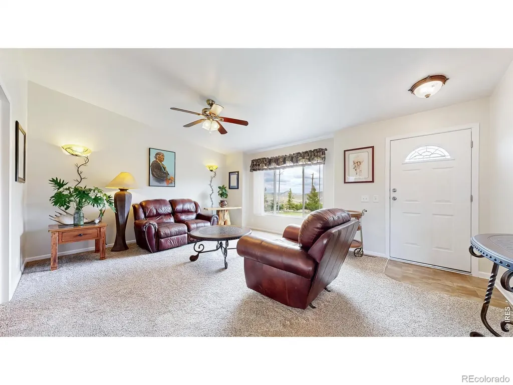 572 Horse Mountain Drive Livermore CO 80536