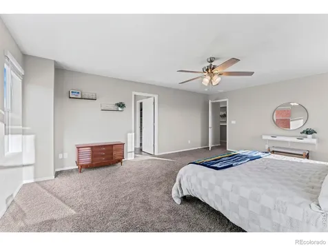 860 Camberly Drive Windsor CO 80550