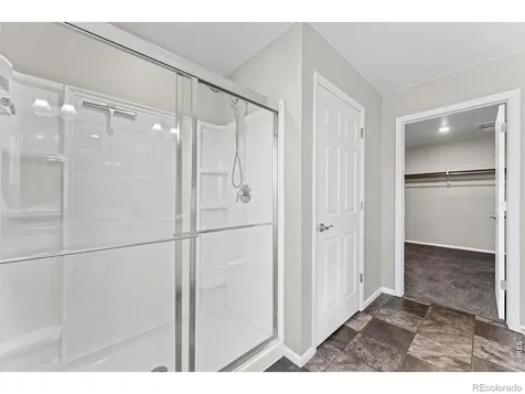 860 Camberly Drive Windsor CO 80550