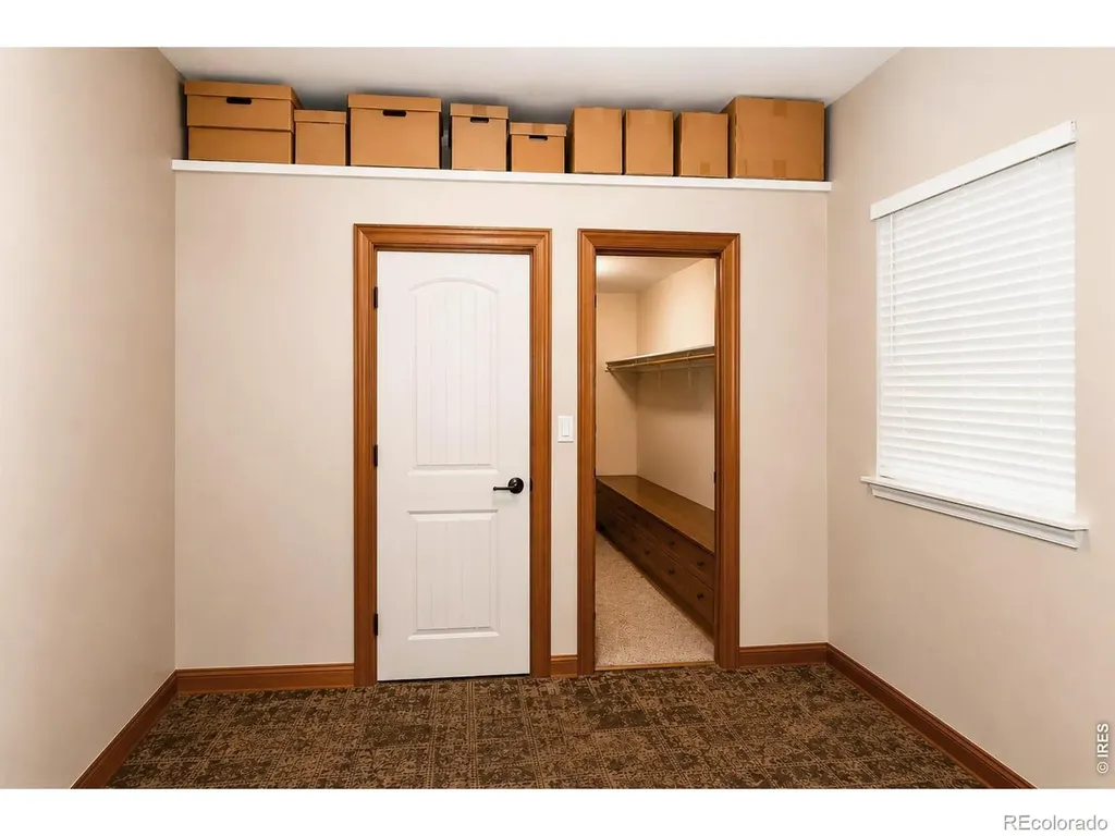 3736 Roosevelt Avenue Wellington CO 80549