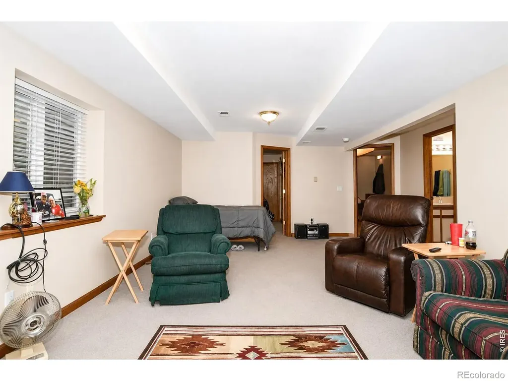 3736 Roosevelt Avenue Wellington CO 80549