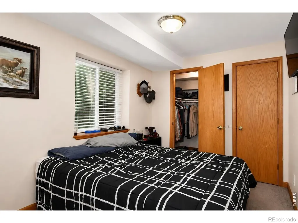 3736 Roosevelt Avenue Wellington CO 80549
