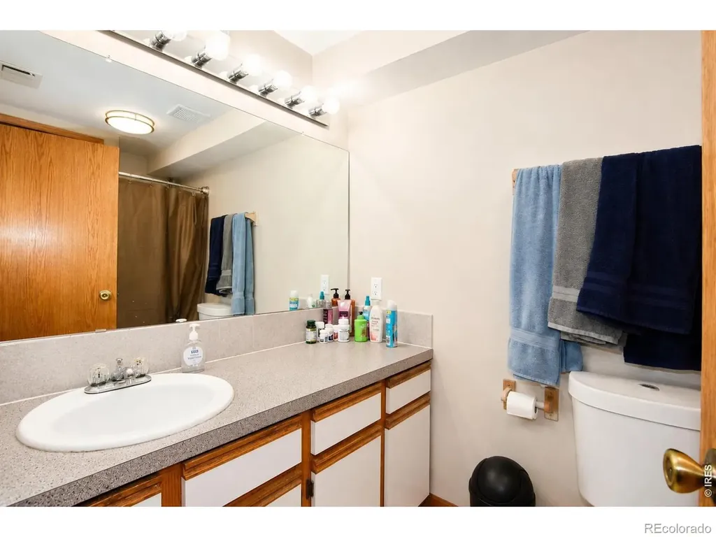 3736 Roosevelt Avenue Wellington CO 80549