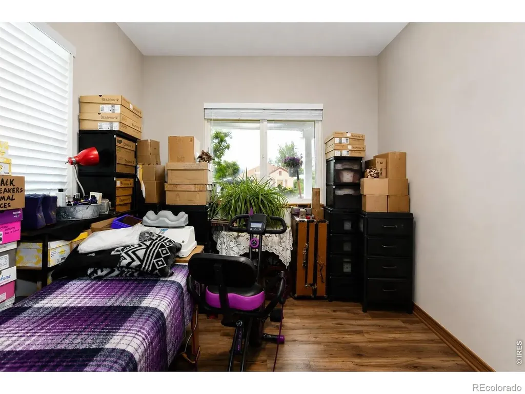 3736 Roosevelt Avenue Wellington CO 80549
