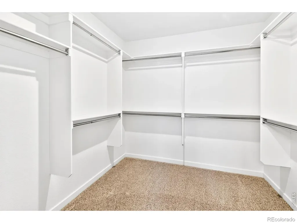 2104 Gather Court Windsor CO 80550