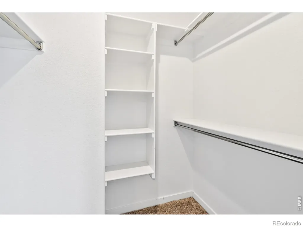 2104 Gather Court Windsor CO 80550