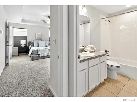 2104 Gather Court Windsor CO 80550