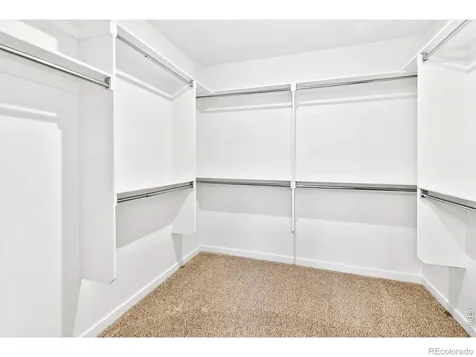 2104 Gather Court Windsor CO 80550