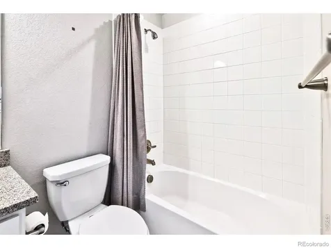 2104 Gather Court Windsor CO 80550
