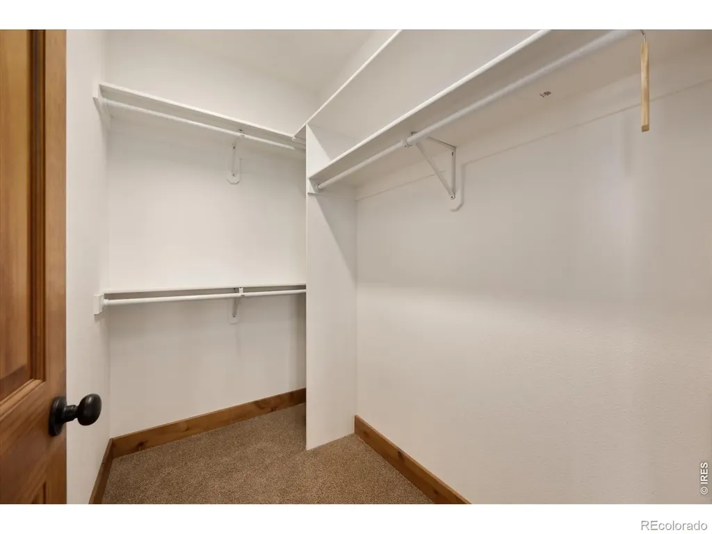 1291 Little Whale Road Bellvue CO 80512