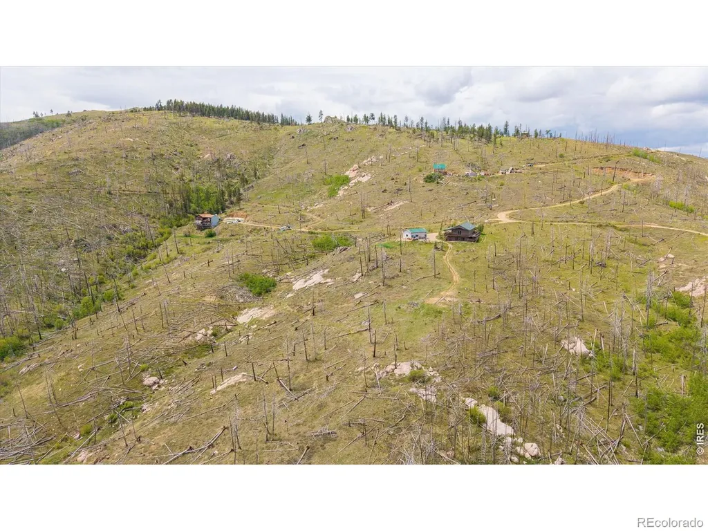 1291 Little Whale Road Bellvue CO 80512