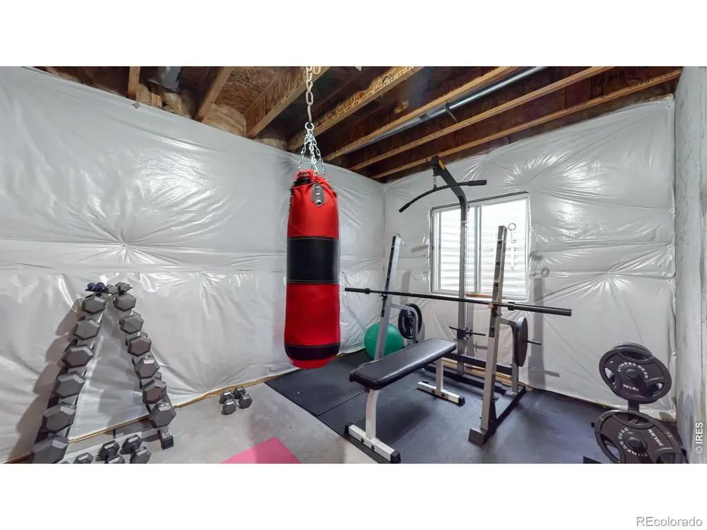 5543 Calgary Street Timnath CO 80547