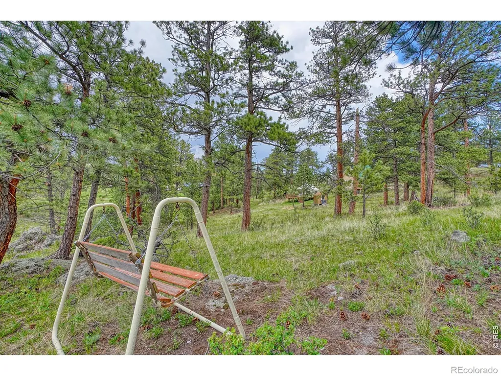 2365 Storm Mountain Drive Drake CO 80515