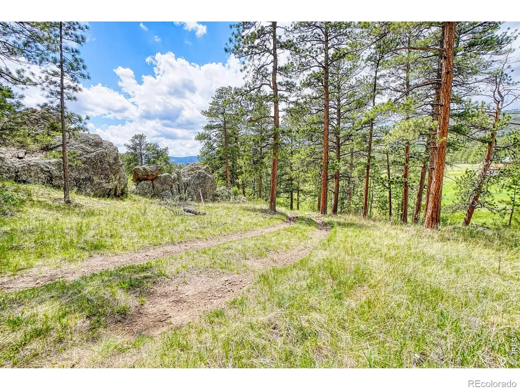 2365 Storm Mountain Drive Drake CO 80515